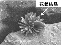 clip_image001